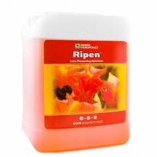 Ripen GHE 5 L (t°C)